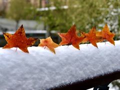 -好利来(团结湖店)