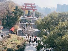 -黄鹤楼公园(黄鹤楼)