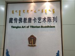-包头博物馆