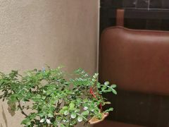 -CURRY YA 熟成咖哩專門店(深圳湾万象城店)