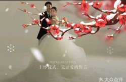 点击看大图 -CD视觉婚纱摄影