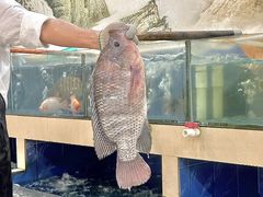 -东森家宴·惠州客家菜