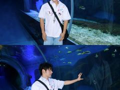 -海合安武汉极地海洋公园