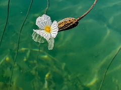 -丽江泸沽湖景区