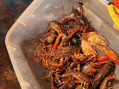 -二钳洞庭虾蟹·江湖菜(成都鹭岛店)