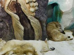 -大连圣亚海洋世界