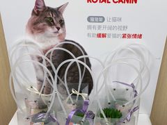 -申普宠物医院·心脏介入·心血管微创(总院)