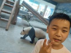 -西安秦岭野生动物园