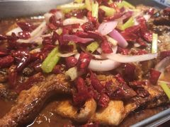 -鱼酷活鱼烤鱼(南京水游城店)