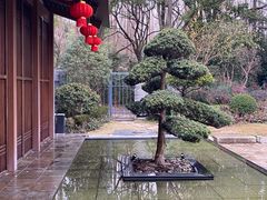 -晶采轩(虹桥路店)