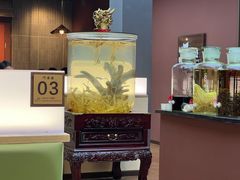-巧婆婆特色东北菜·铁锅炖