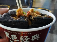 -黑色经典臭豆腐·湖南特产(坡子街店)