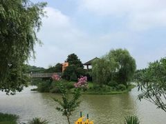 -宜兴龙背山森林公园