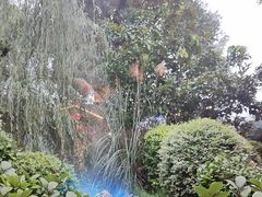 -耕渔小院·湖南鱼鲜(望城店)
