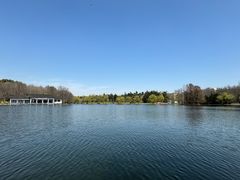 -上海共青森林公园