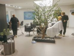 -付军剪艺JF ProSalon