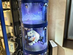 -城际上海虹桥机场酒店