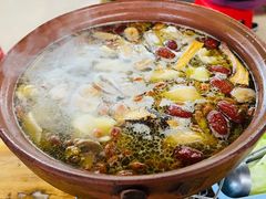 炭炉果鸡煲-威邵鸡煲(西华路总店)