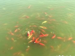 -燕郊植物园