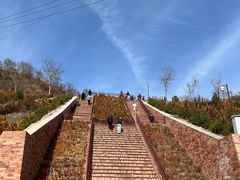 -陈炉古镇