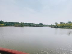 -东郊湿地公园