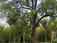 -华南国家植物园-售票处