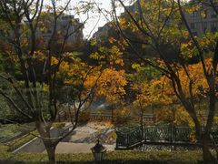 -新江湾城公园