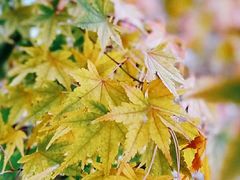 -南山风景名胜区