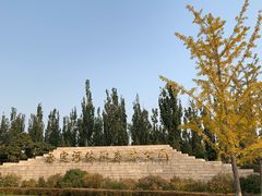 -永定河休闲森林公园