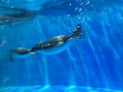 -华夏文旅西安度假区