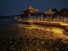 -长春市南湖公园