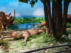 -国家自然博物馆