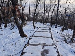 -帽儿山国家森林公园