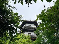 -娄山关景区