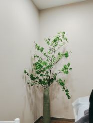-上海首尔丽格医疗美容医院
