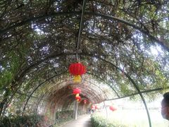 -张公山寨景区