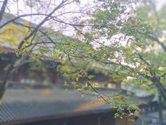 -灵隐飞来峰景区