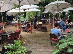 -Fern Forest Cafe