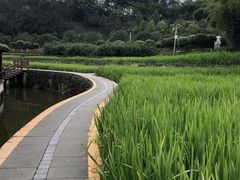 -龙头寺公园