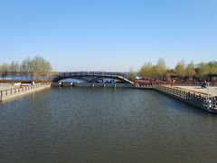 -呼兰河口湿地公园