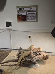 -Zoolung Zoolung动物主题公园(海信广场店)