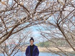 -广州市流溪河国家森林公园