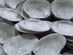 -何记花甲(海岸城旗舰店)
