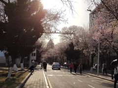 -吉林大学(南岭校区)