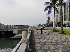 -野狸岛