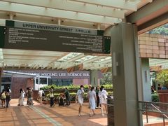-香港大学