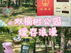 -双榆树公园