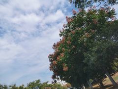 -河海大学(江宁校区)