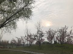 -西安世博园