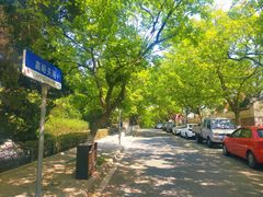 -八大关景区